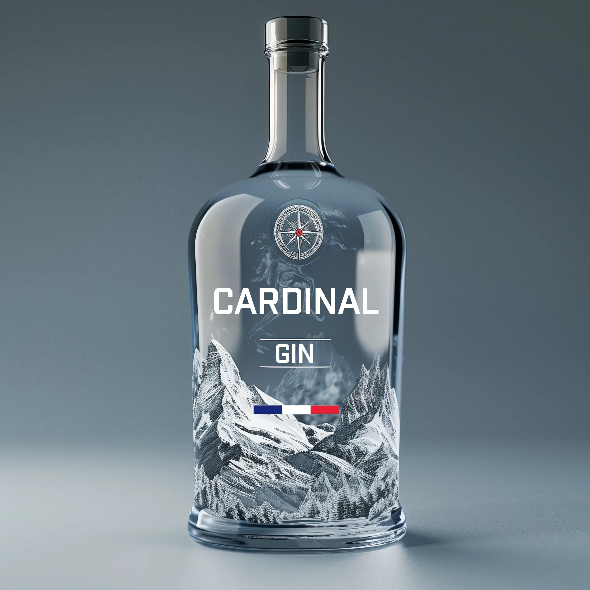 Bouteille de Gin